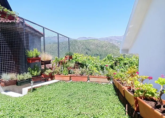 Geres E Cabreira - Romoa Vintage